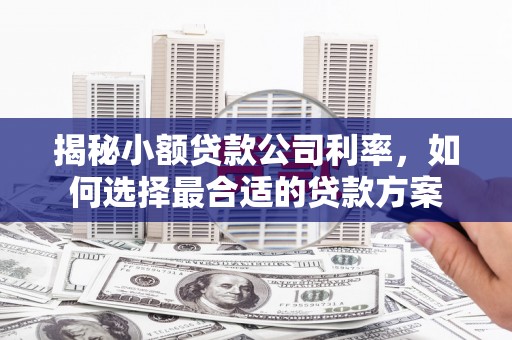 江永揭秘小额贷款公司利率，如何选择最合适的贷款方案