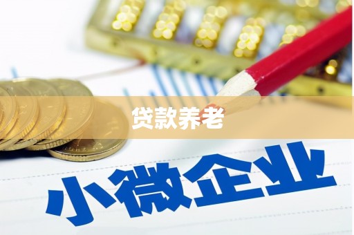 江永贷款养老