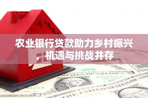 江永农业银行贷款助力乡村振兴，机遇与挑战并存