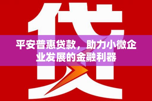 江永平安普惠贷款，助力小微企业发展的金融利器