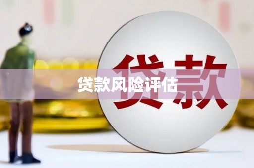 江永贷款风险评估