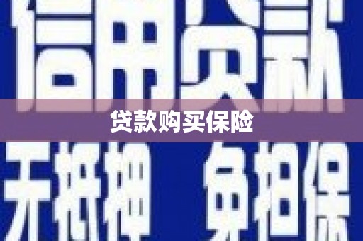 江永贷款购买保险