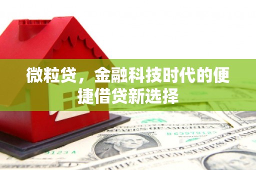 江永微粒贷，金融科技时代的便捷借贷新选择