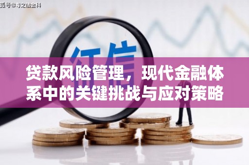 江永贷款风险管理，现代金融体系中的关键挑战与应对策略