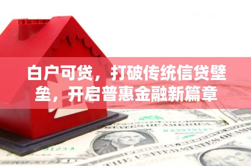 江永白户可贷，打破传统信贷壁垒，开启普惠金融新篇章