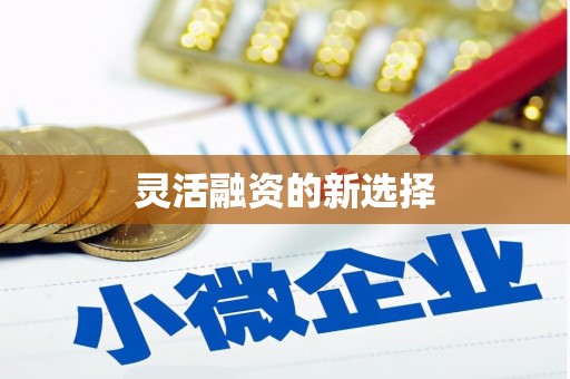 江永灵活融资的新选择