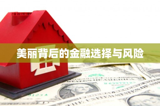 江永美丽背后的金融选择与风险