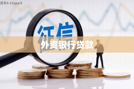 江永外资银行贷款
