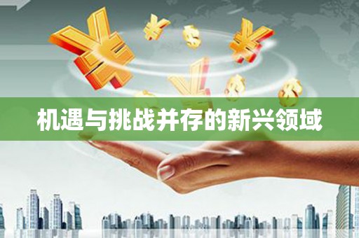 江永机遇与挑战并存的新兴领域