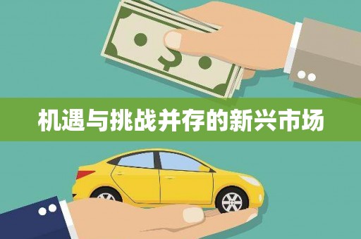 江永机遇与挑战并存的新兴市场