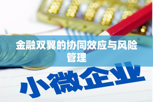 江永金融双翼的协同效应与风险管理