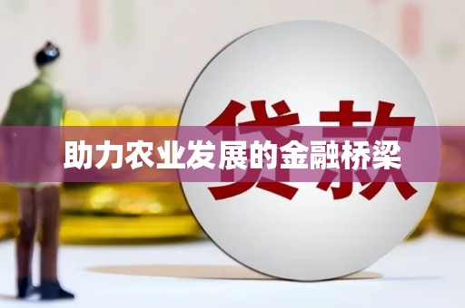 江永助力农业发展的金融桥梁