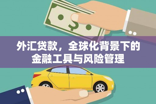 江永外汇贷款，全球化背景下的金融工具与风险管理