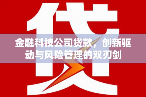 江永金融科技公司贷款，创新驱动与风险管理的双刃剑